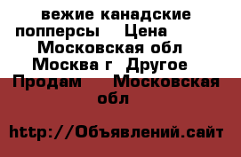 Cвежие канадские попперсы. › Цена ­ 500 - Московская обл., Москва г. Другое » Продам   . Московская обл.